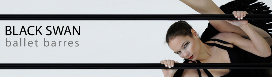 black swan ballet bars