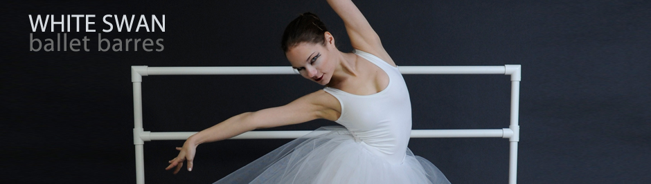 black swan ballet bar